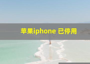 苹果iphone 已停用